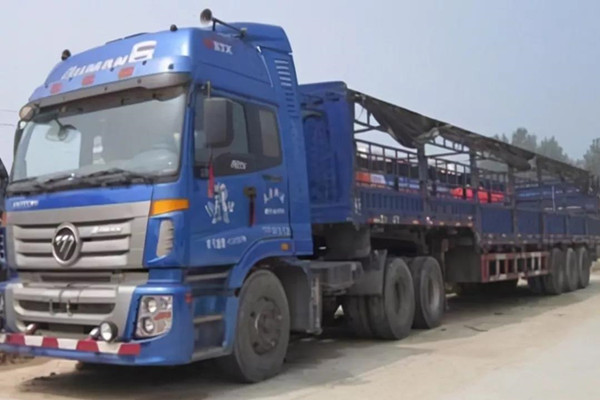 f(shu)ʮһգcWͬ(sh)F(xin)(mng)