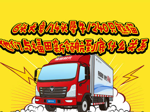 6^/14^Ϭţ/240ֻ؈cIʲôPϵ