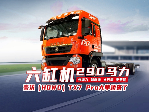 ҕlTX7 Pro 290RΘ(li)